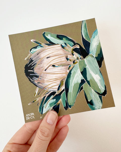 PROTEA POSTCARD PACK