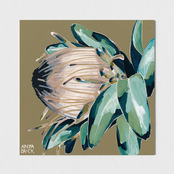 PROTEA POSTCARD PACK