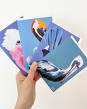 BIRDS GREETING CARDS PACK 1