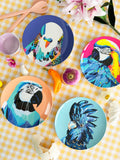 Plate Set- Bright Birds