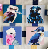 Coaster Set- Australian Birds 1