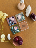 Coaster Set- Protea 1