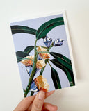 AUSTRALIAN GREETING CARDS PACK