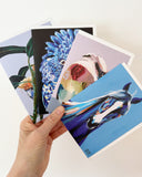 MIX GREETING CARDS PACK 3