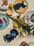 Plate Set- Australian Birds 1