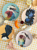 Plate Set- Australian Birds 1