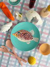 Plate Set- Fish