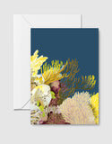 REEF GREETING CARDS PACK