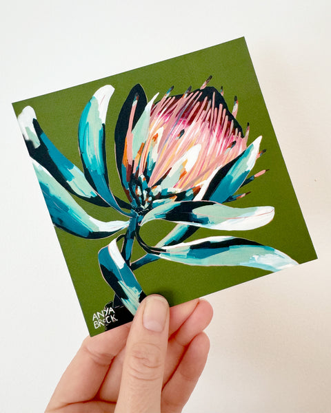 PROTEA POSTCARD PACK