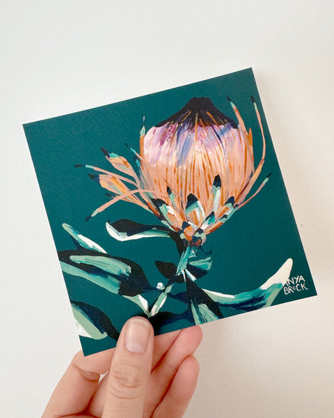 PROTEA POSTCARD PACK