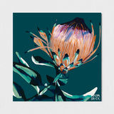 PROTEA POSTCARD PACK